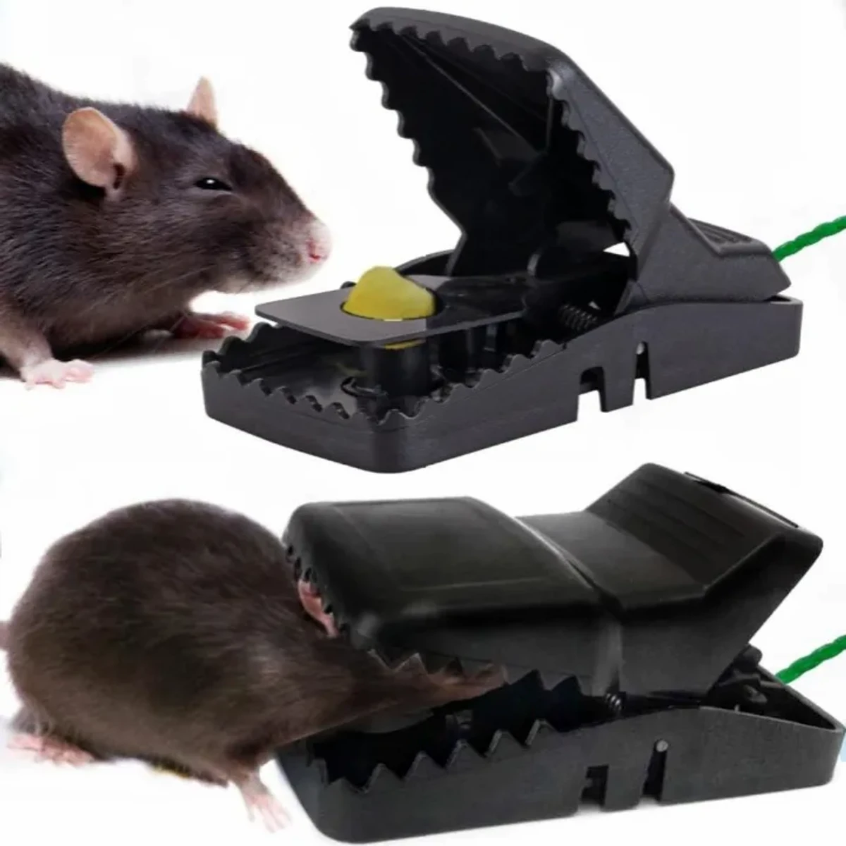 Mouse Trap 3 Pis